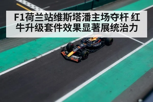 Max Verstappen Dutch Grand Prix