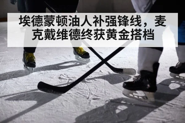埃德蒙顿油人补强锋线，麦克戴维德终获黄金搭档